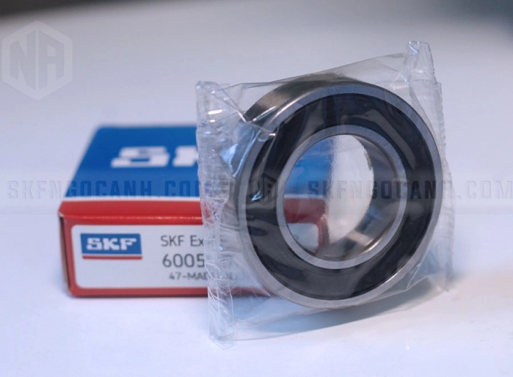 Vòng bi bạc đạn 6005 25x47x12mm SKF — Ảnh gốc — ngocanh.com · 6005-3.jpg
