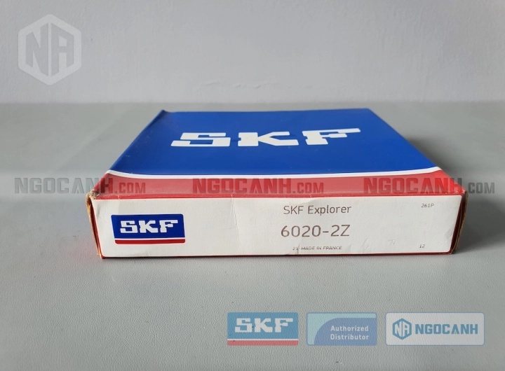 Vòng bi bạc đạn 6020 100x150x24mm SKF — Ảnh gốc — ngocanh.com · 6020-1.jpg