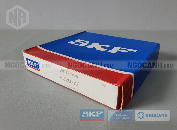 Vòng bi bạc đạn 6020 100x150x24mm SKF — Ảnh gốc — ngocanh.com · 6020-2.jpg