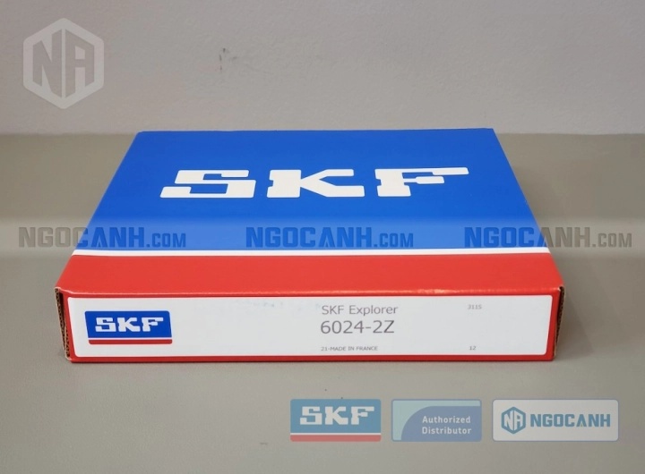 Vòng bi bạc đạn 6024 120x180x28mm SKF — Ảnh gốc — ngocanh.com · 6024-1.jpg