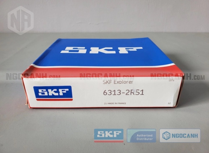 Vòng bi bạc đạn 6313 65x140x33mm SKF — Ảnh gốc — ngocanh.com · 6313-1.jpg