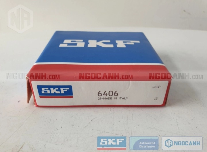 Vòng bi bạc đạn 6406 30x90x23mm SKF — Ảnh gốc — ngocanh.com · 6406-1.jpg
