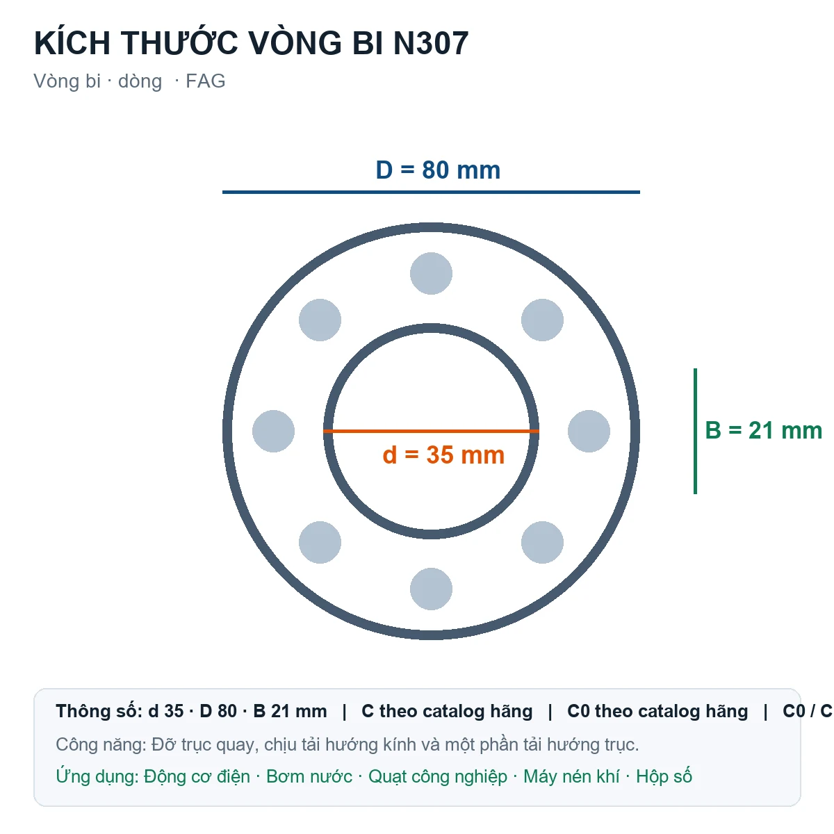 Vòng bi FAG N307 35x80x21mm — Bản vẽ kích thước (Google Images)