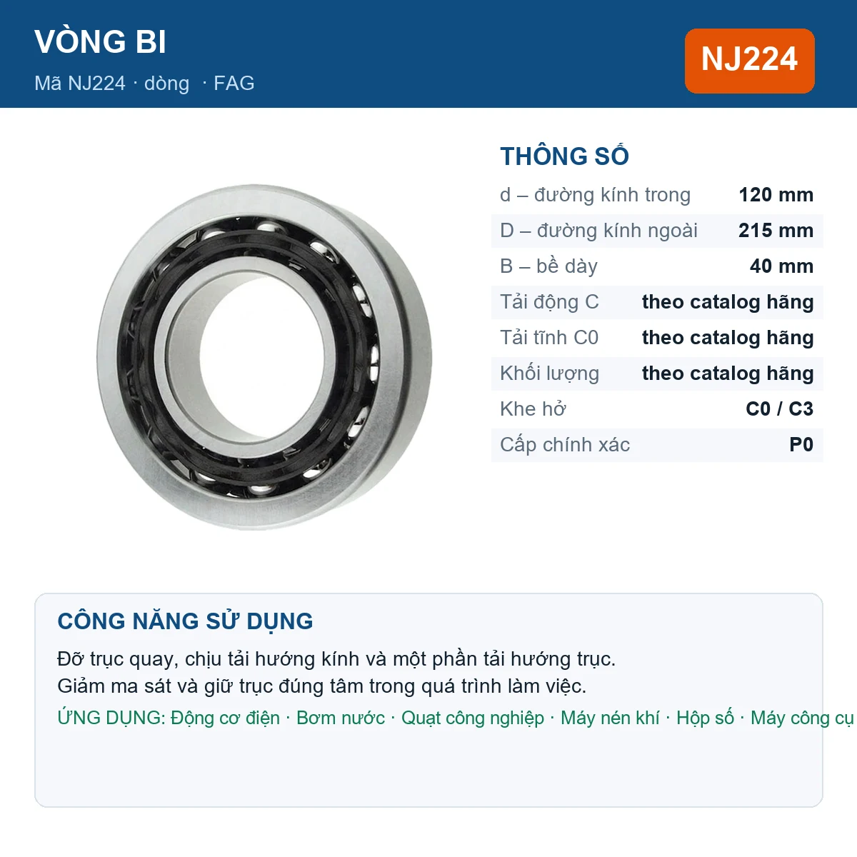 Vòng bi FAG NJ224 120x215x40mm — Ảnh đăng sản phẩm (web)