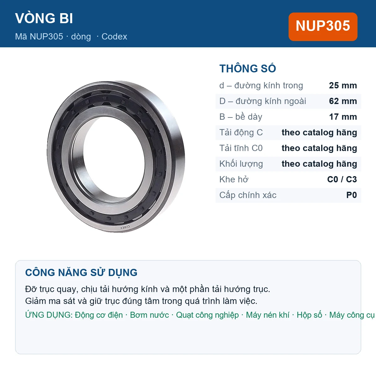 Vòng bi Codex NUP305 25x62x17mm — Ảnh đăng sản phẩm (web)
