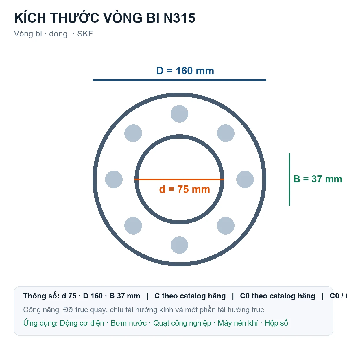 Vòng bi SKF N315 75x160x37mm — Bản vẽ kích thước (Google Images)