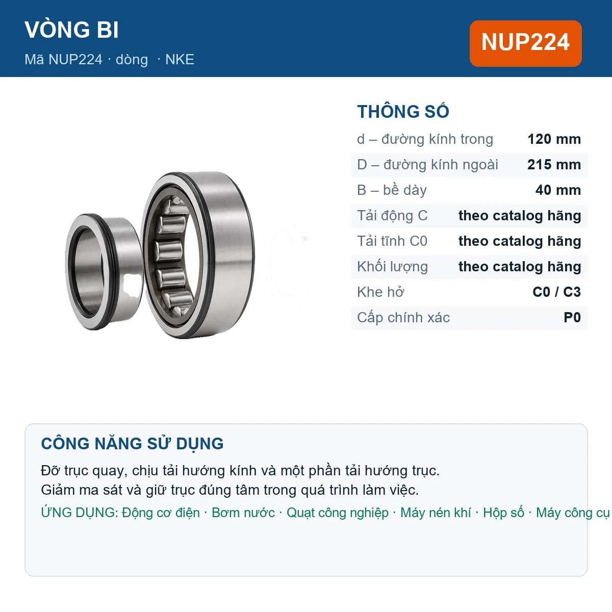 Vòng bi NKE NUP224 — kích thước 120x215x40mm