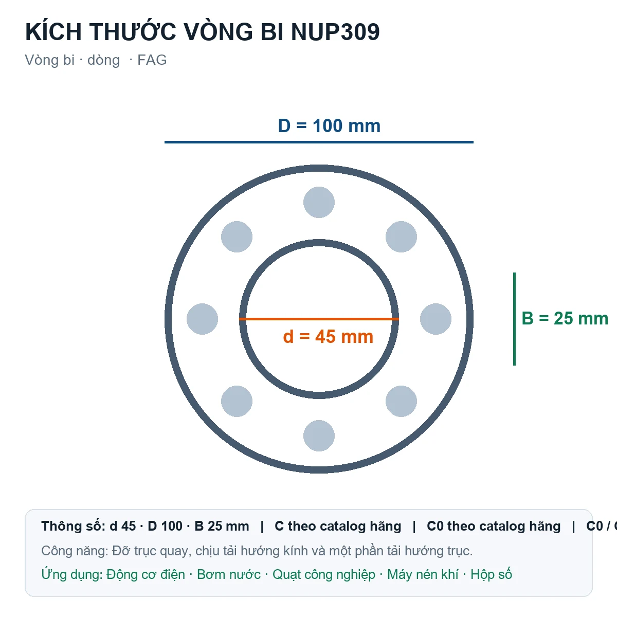 Vòng bi FAG NUP309 45x100x25mm — Bản vẽ kích thước (Google Images)