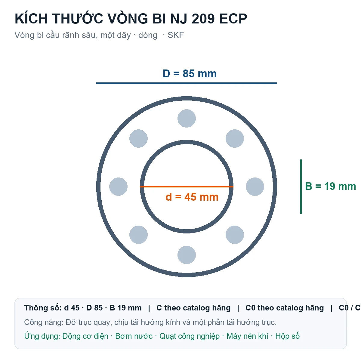 Vòng bi SKF NJ 209 ECP 45x85x19mm — Bản vẽ kích thước (Google Images)