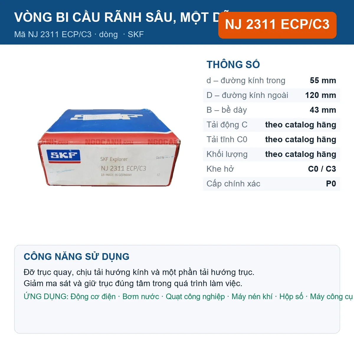 Vòng bi SKF NJ 2311 ECP/C3 — kích thước 55x120x43mm