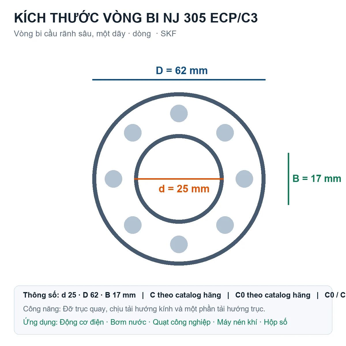 Vòng bi SKF NJ 305 ECP/C3 25x62x17mm — Bản vẽ kích thước (Google Images)