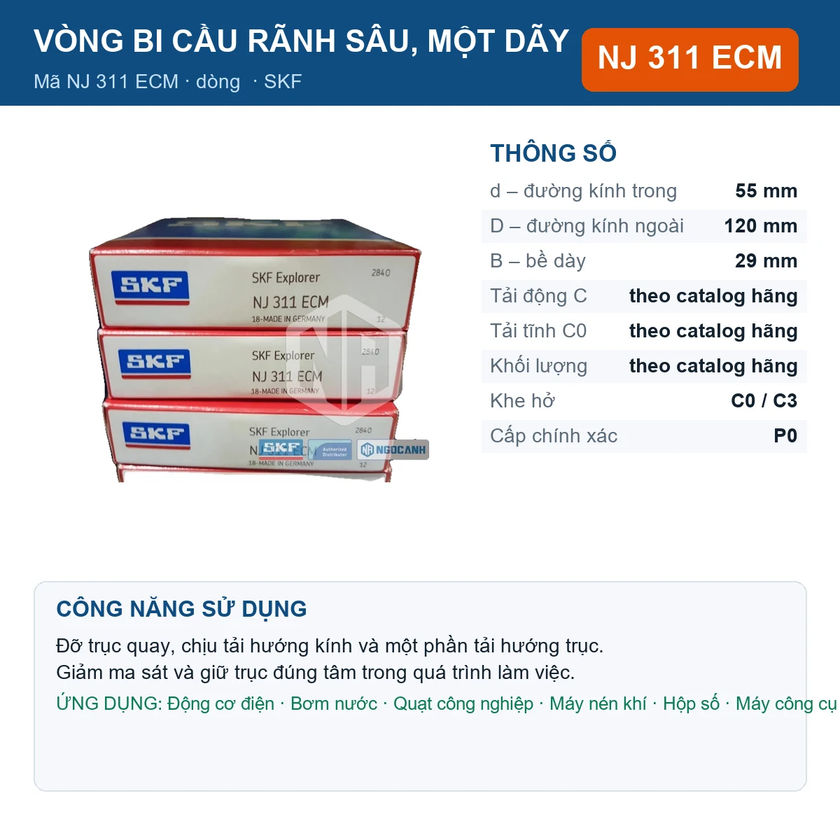 Vòng bi SKF NJ 311 ECM — kích thước 55x120x29mm