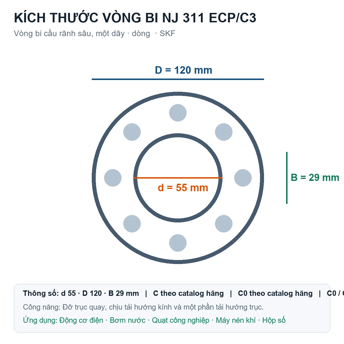 Vòng bi SKF NJ 311 ECP/C3 55x120x29mm — Bản vẽ kích thước (Google Images)