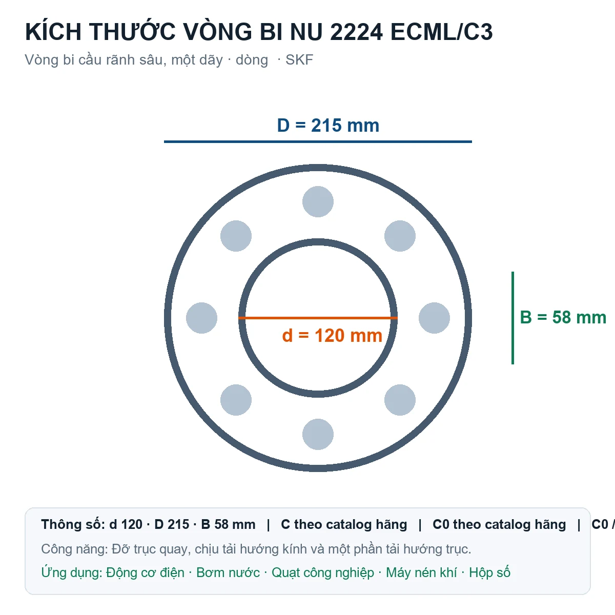 Vòng bi SKF NU 2224 ECML/C3 120x215x58mm — Bản vẽ kích thước (Google Images)