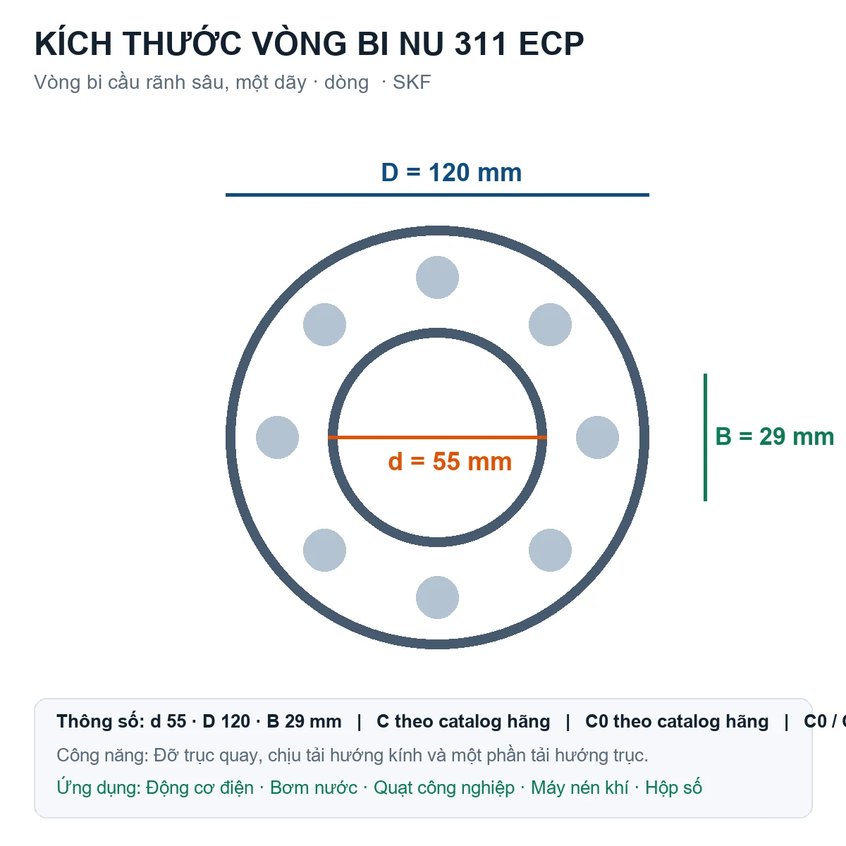 Vòng bi SKF NU 311 ECP 55x120x29mm — Bản vẽ kích thước (Google Images)