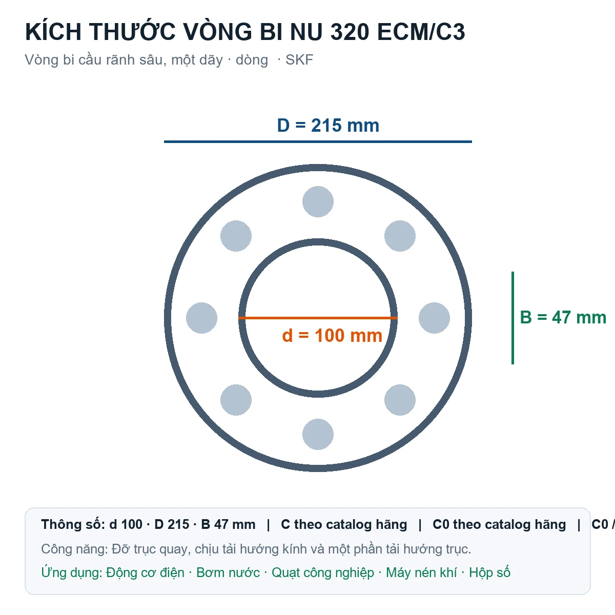 Vòng bi SKF NU 320 ECM/C3 100x215x47mm — Bản vẽ kích thước (Google Images)